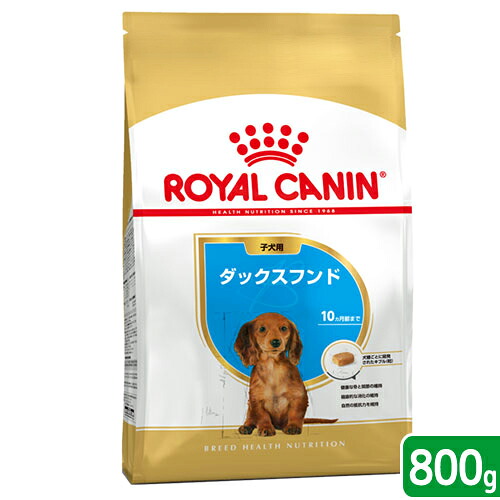 ロイヤルカナン ブリード ヘルス ニュートリション ダックスフンド 子犬用 800g 商品画像