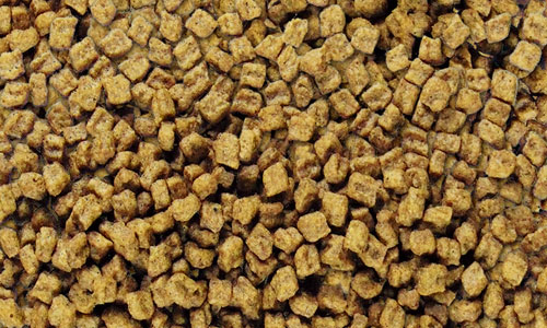 ニュートロ ナチュラル チョイス 超小型犬用 チキン&玄米の楽天掲載粒見本写真